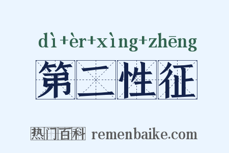 第二性征是什么意思的图片